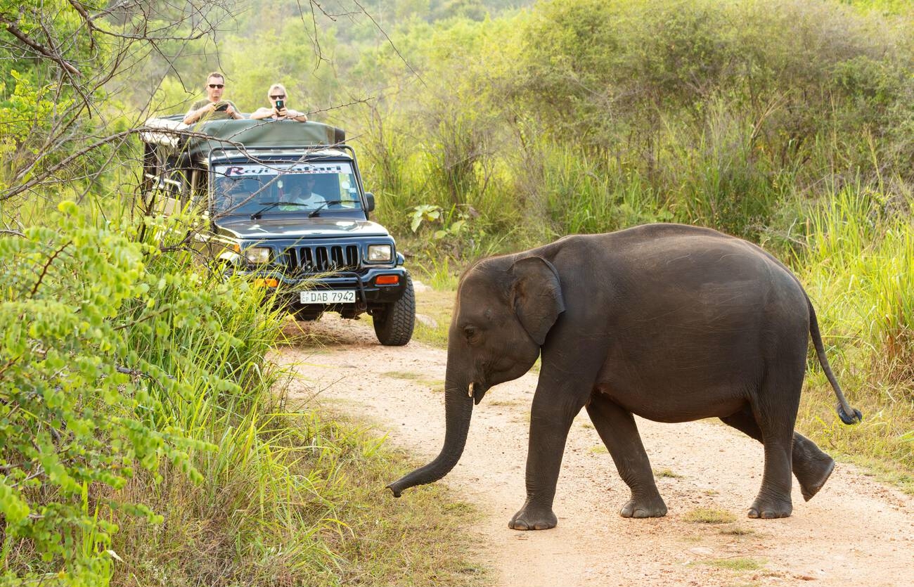 Classic Tour Sri Lanka 14 Nights 2
